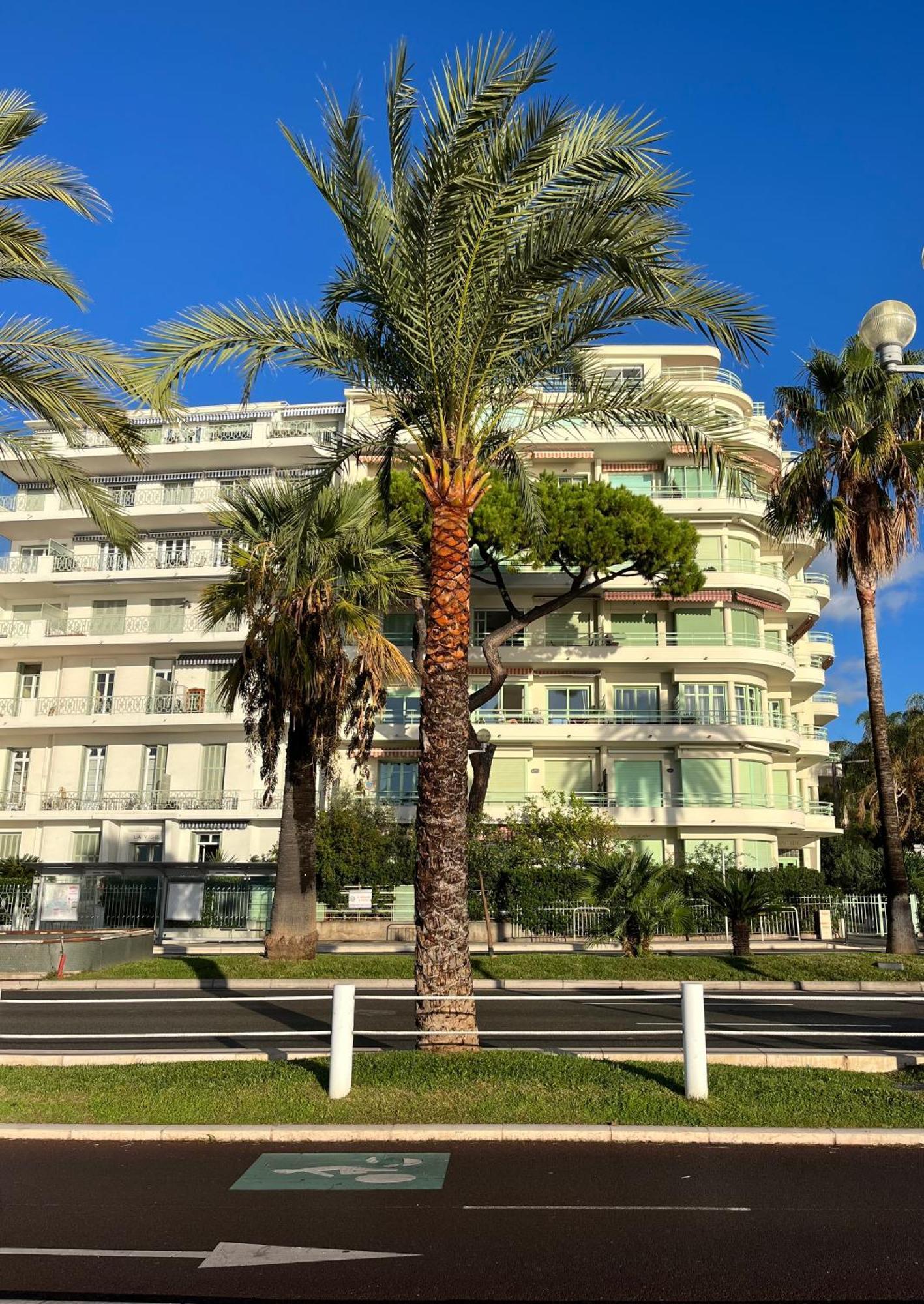 Nice 115 By The Sea Экстерьер фото